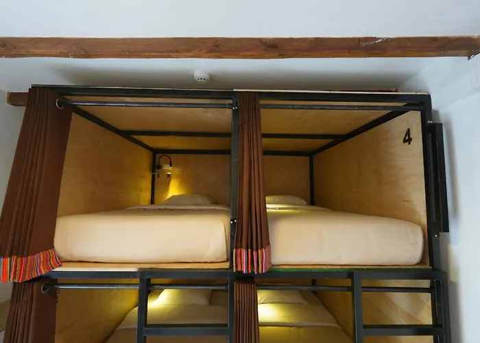 Black Llama Hostel