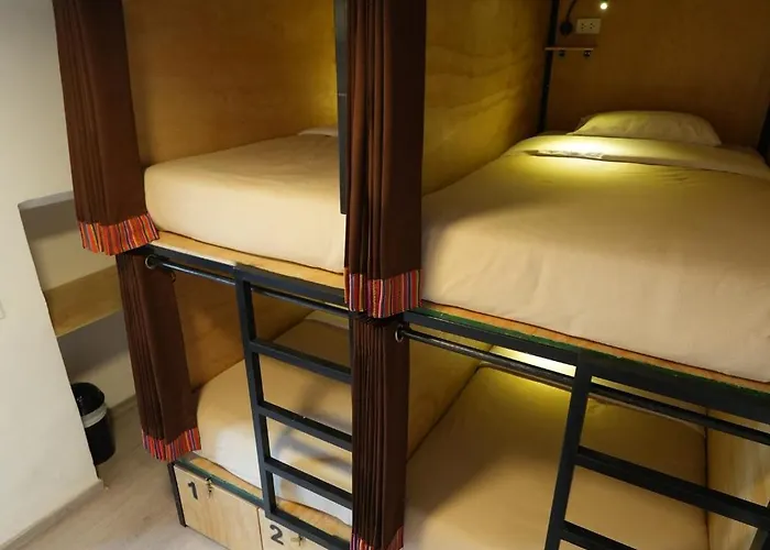 Black Llama Hostel *