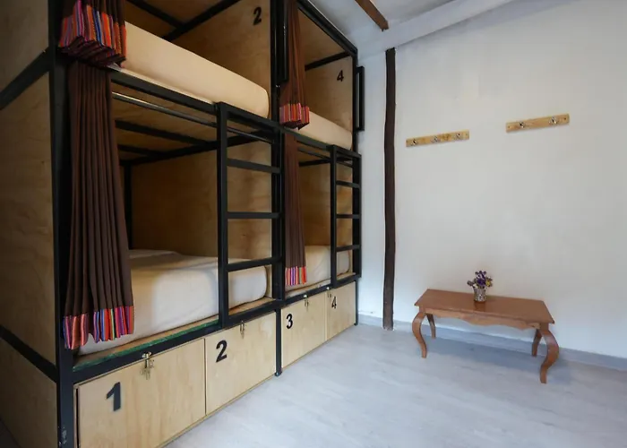 Black Llama Hostel Cusco