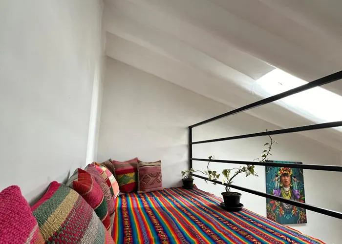 Black Llama Hostel Cusco