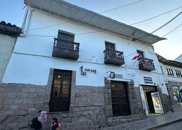 Black Llama Hostel *