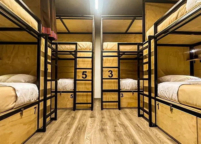 Hostel Black Llama *