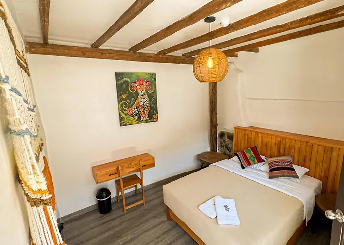 Black Llama Hostel Cusco