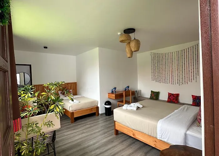 Hostel Black Llama Cusco